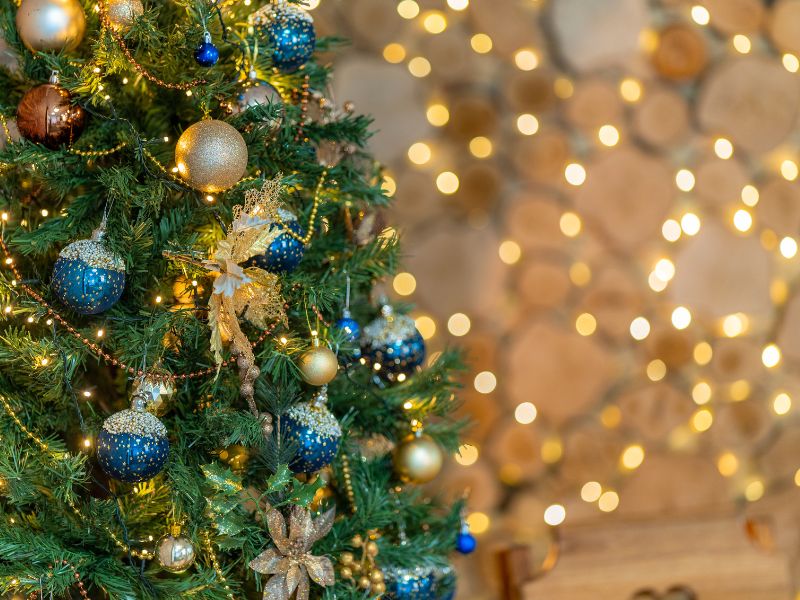 Northfield Square's Christmas Tree Wonderland